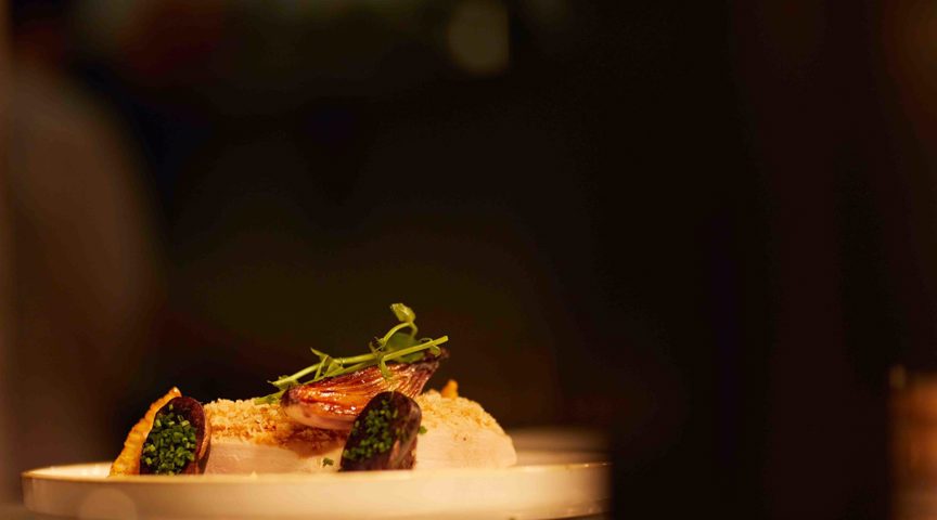 closeup of food presented elegantly on a plate