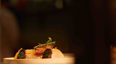 closeup of food presented elegantly on a plate