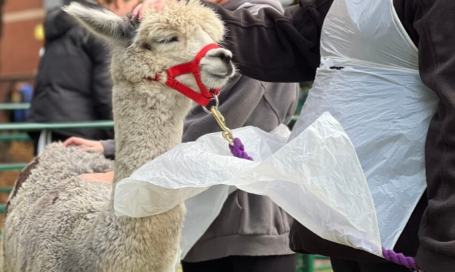 Screenshot 2025 11 28 120018