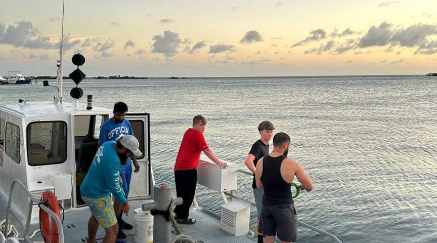 652910811 1350920667061699 3924940664447736730 N