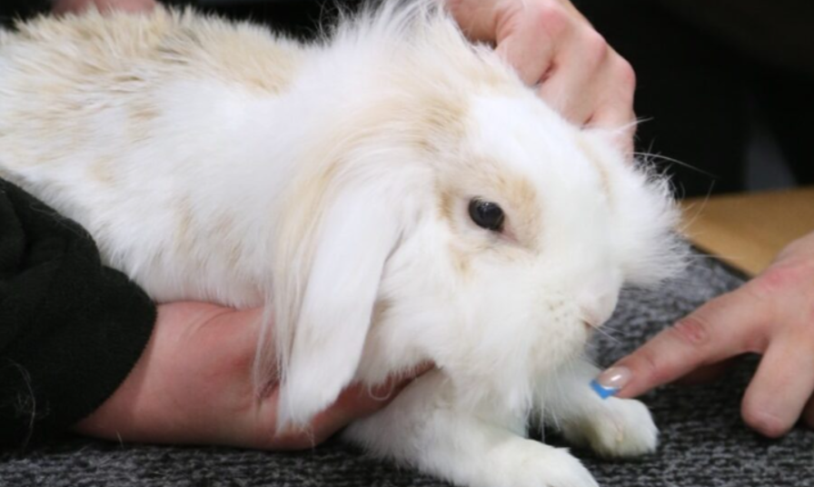 Screenshot 2025 11 28 115426