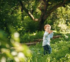 young boy playing in woods