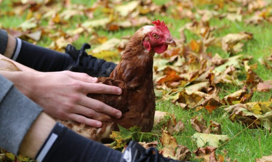 Screenshot 2025 11 28 115749