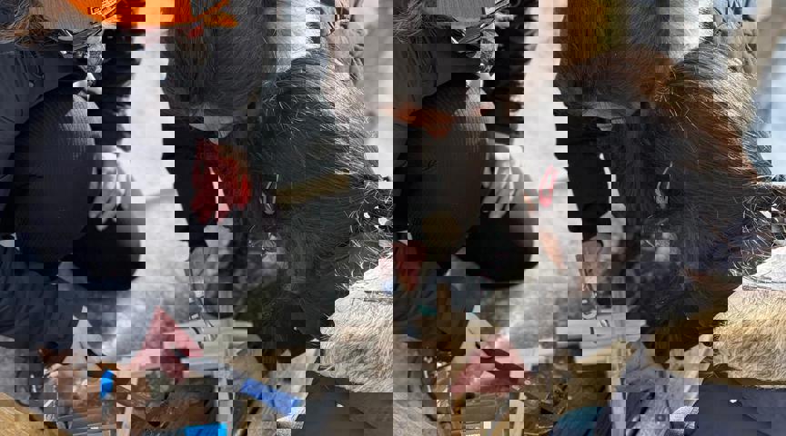 PHOTO 2026 03 31 10 02 37 (2)